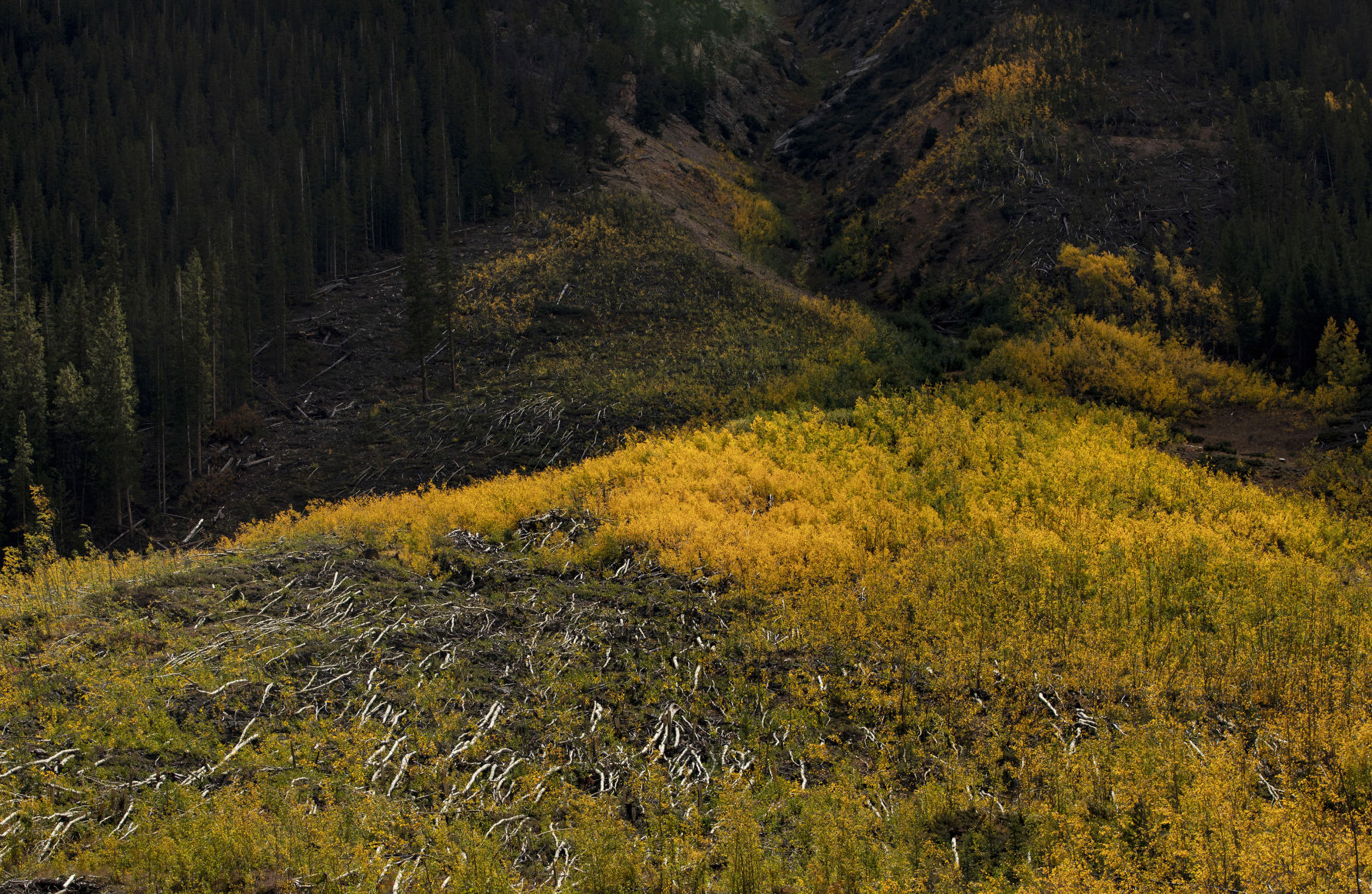 100219-news-fallcolors 11